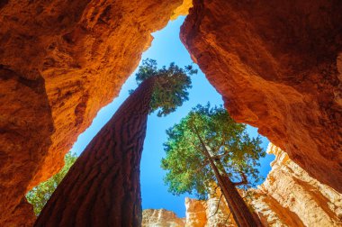 Bryce Kanyonu Ulusal Parkı