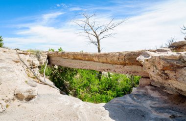 Taş Ormanı Ulusal Parkı