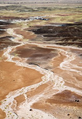 Taş Ormanı Ulusal Parkı