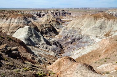 Taş Ormanı Ulusal Parkı