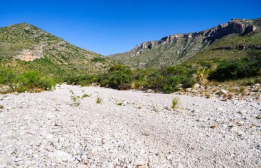 Guadalupe Dağları Ulusal Parkı