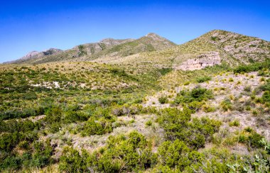 Guadalupe Dağları Ulusal Parkı