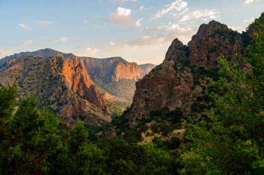 Big bend Milli Parkı
