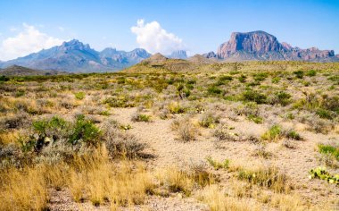 Big bend Milli Parkı