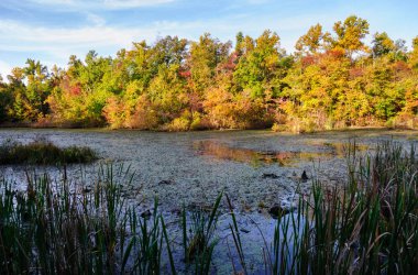 mamut Mağarası Milli Parkı