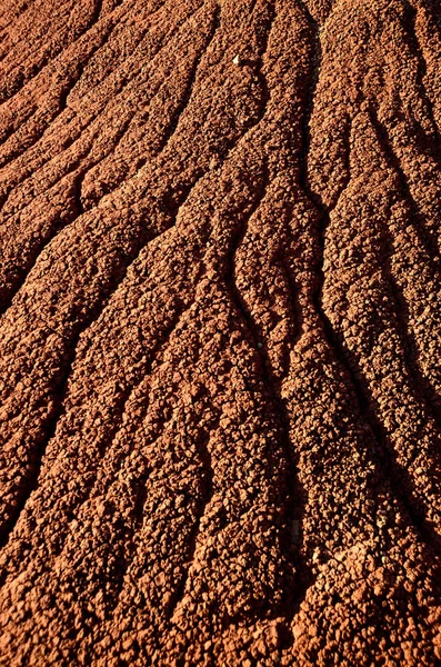 Målade Hills Enhet John Dag Fossil Beds Nationalmonument — Stockfoto