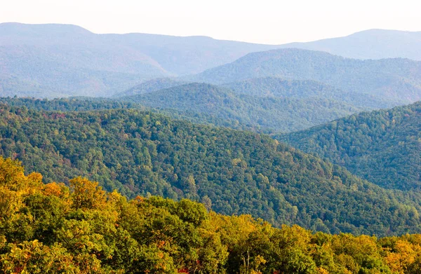 Parco Nazionale Shenandoah Autunno — Foto Stock