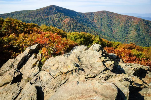 Εθνικό Πάρκο Shenandoah Φθινόπωρο — Φωτογραφία Αρχείου