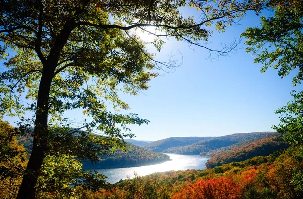 Forêt Nationale Allegheny Automne — Photo