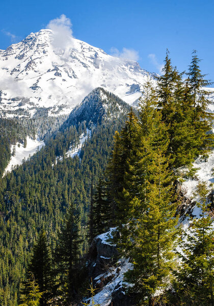 Mount Rainier National Park