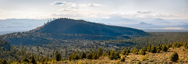 Shasta Trinity National Forest — Stock Photo, Image