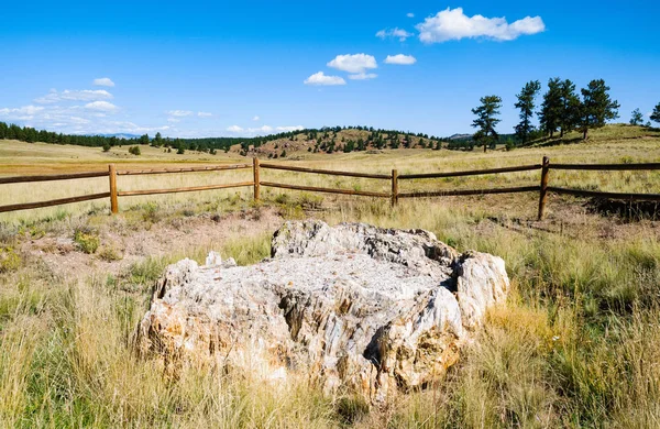 Florissant Fossil Beds National Monument — Stock Photo, Image