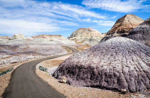 Petrified Forest National Park — Stock Fotó