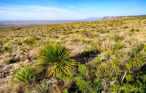 Carlsbad Caverns National Park — Stock Photo, Image