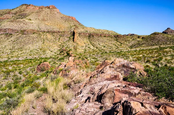 Big Bend Nationalpark — Stockfoto