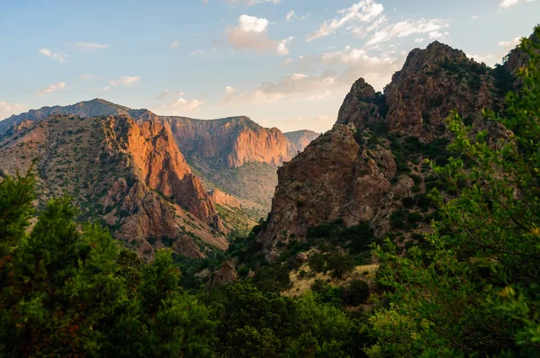 Parque Nacional Big Bend — Fotografia de Stock