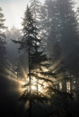 Gümüş falls state park