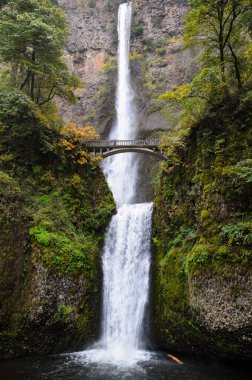 Columbia Gorge Ulusal Manzara alanı
