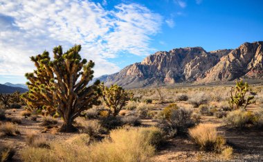 Bahar dağ çiftliği State Park