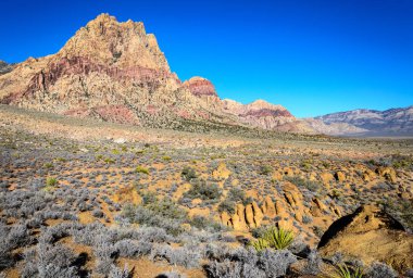 Red rock canyon Ulusal koruma alanı