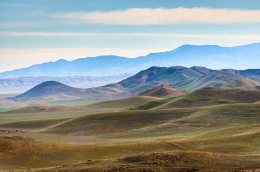 Carrizo düz Ulusal Anıtı