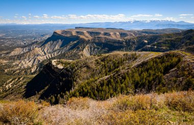 Mesa Verde Milli Parkı