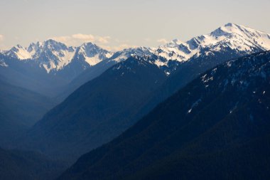 Kasırga ridge olimpik Milli Parkı