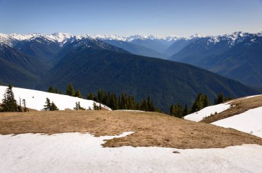 Kasırga ridge olimpik Milli Parkı
