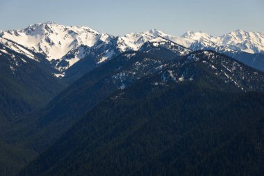 Kasırga ridge olimpik Milli Parkı