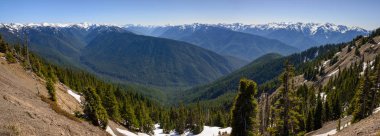 Kasırga ridge olimpik Milli Parkı