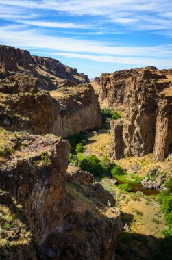 Dilenmek Creek State doğal alan