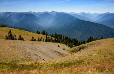Kasırga ridge olimpik Milli Parkı