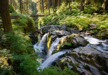 Sol Duc Falls trail in Olympic National Park clipart