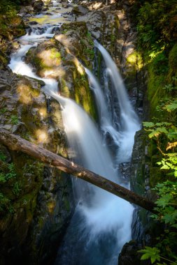 Sol Duc Falls iz Olimpik Milli Parkı'nda
