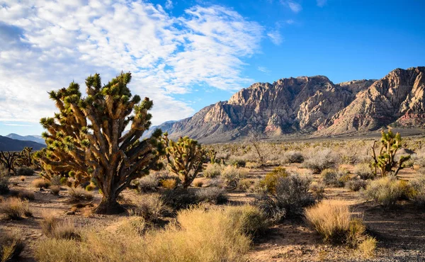 Parque Estatal Spring Mountain Ranch — Foto de Stock