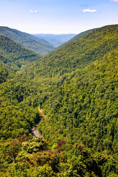 Blackwater Falls State Park — Foto Stock