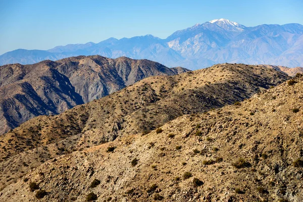 Joshua Tree Ulusal Parkı — Stok fotoğraf