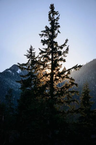 Jezioro Crescent Olympic National Park — Zdjęcie stockowe