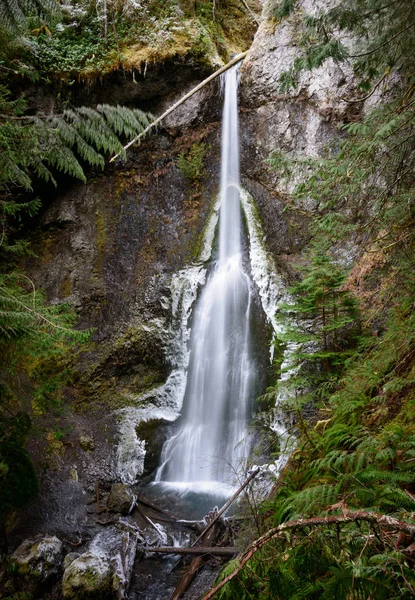 Sjön Crescent Olympic National Park — Stockfoto