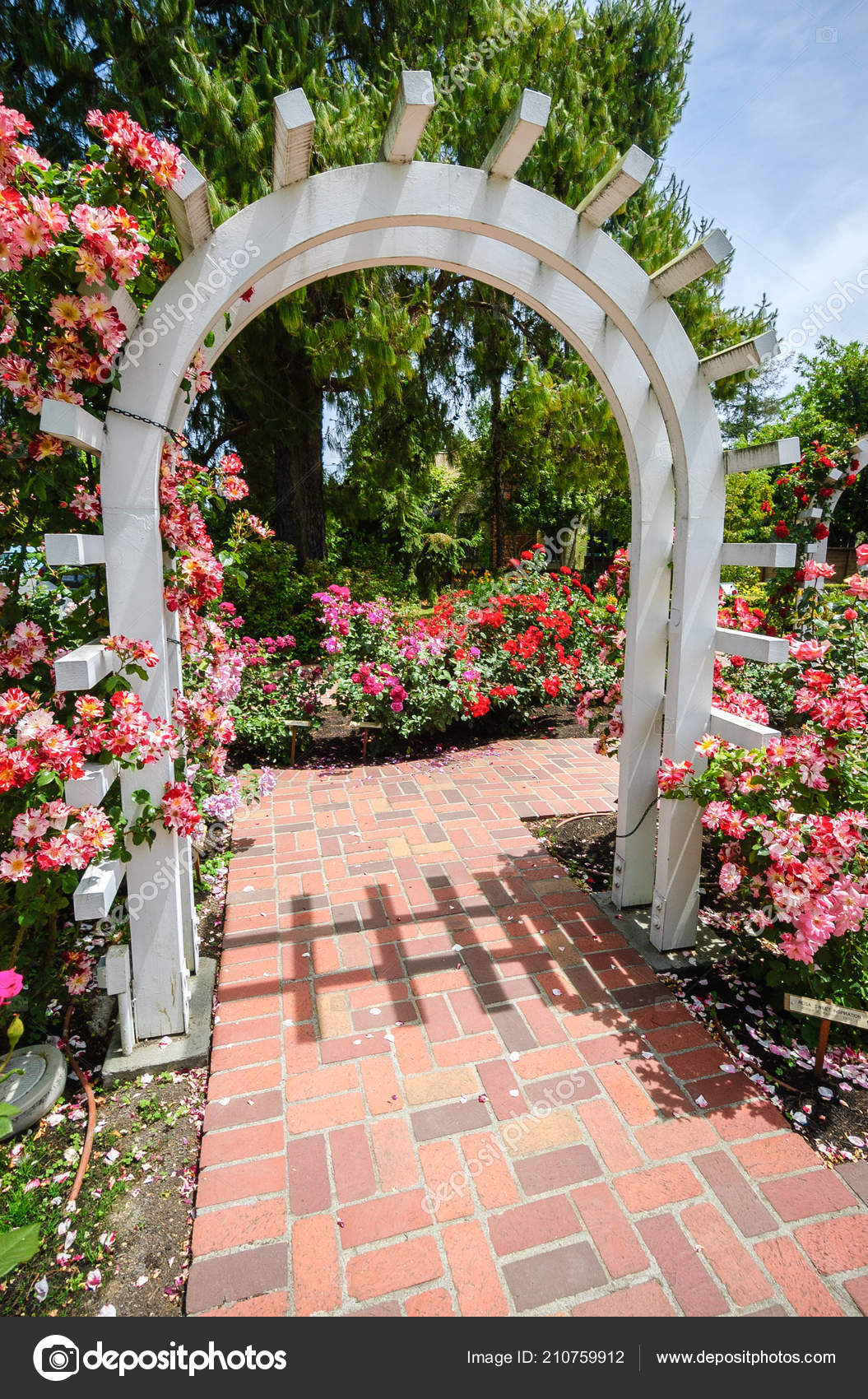 Images Luther Burbank Luther Burbank Home Gardens Stock Photo