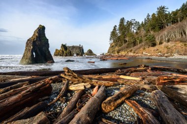 Ruby Beach olimpik Milli Parkı içinde