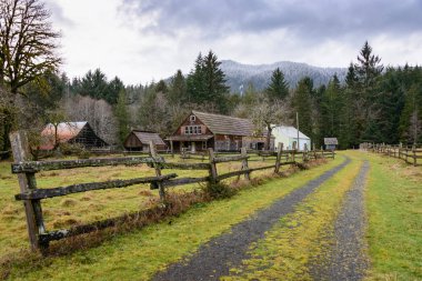 Quinault yağmur ormanlarında Olimpik Milli Parkı