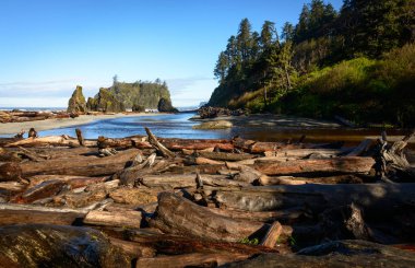 Ruby Beach olimpik Milli Parkı içinde