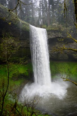 Gümüş falls state park