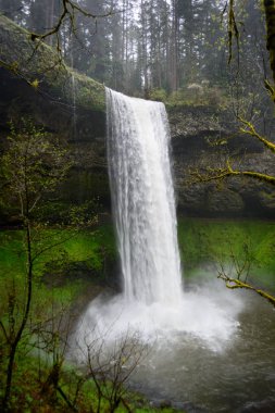 Silver Falls State Park clipart