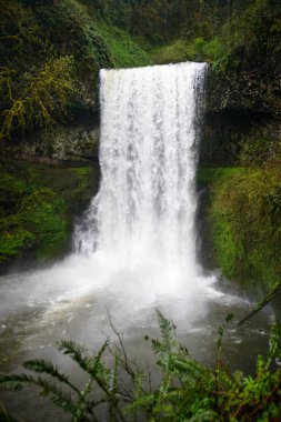 Gümüş falls state park