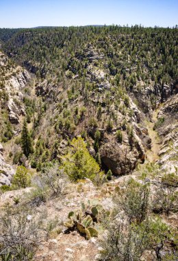 Ceviz Kanyon Ulusal Anıtı