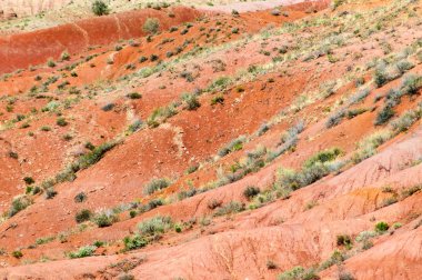Taş Ormanı Ulusal Parkı
