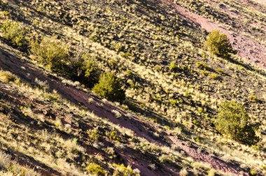 Taş Ormanı Ulusal Parkı