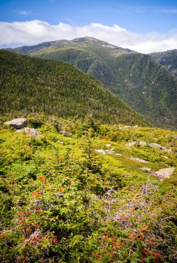 Mount washington state park